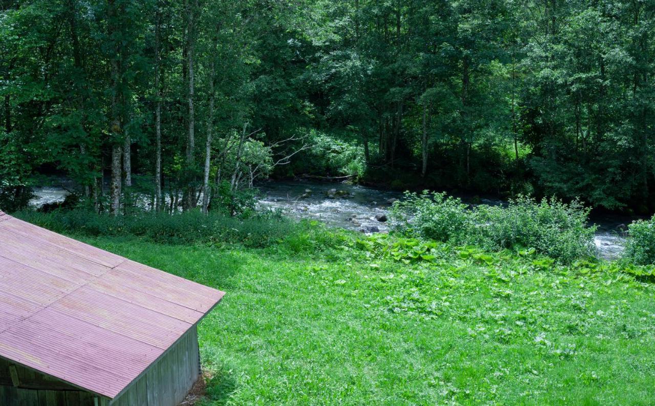 Grand Appartement Proche Gd Bornand Glieres-Val-de-Borne Екстериор снимка